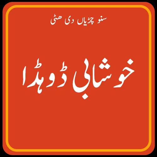 Khushab Dhoda